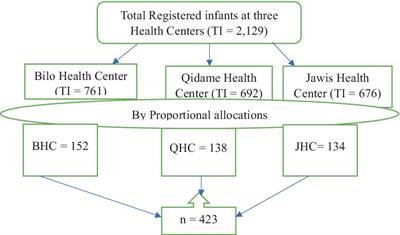 Magnitude of self-harm and associated factors among postnatal mothers attending immunization clinics at public health facilities in Boneya Boshe Woreda, Western Ethiopia, 2023: institution-based cross-sectional study design